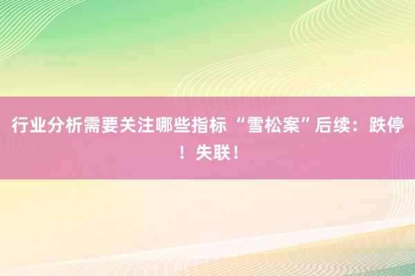 行业分析需要关注哪些指标 “雪松案”后续：跌停！失联！