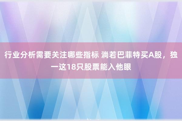 行业分析需要关注哪些指标 淌若巴菲特买A股，独一这18只股票能入他眼