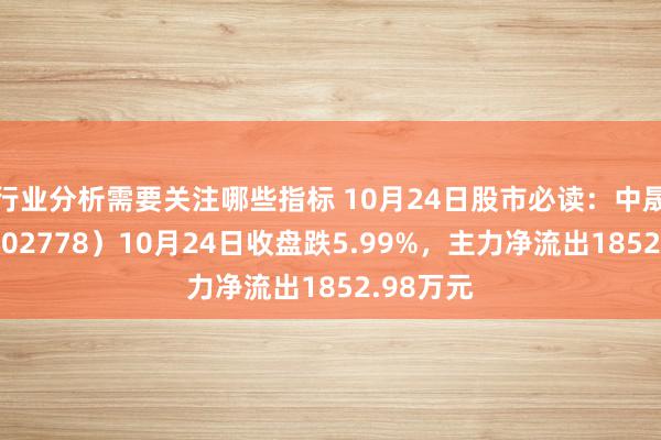 行业分析需要关注哪些指标 10月24日股市必读：中晟高科（002778）10月24日收盘跌5.99%，主力净流出1852.98万元