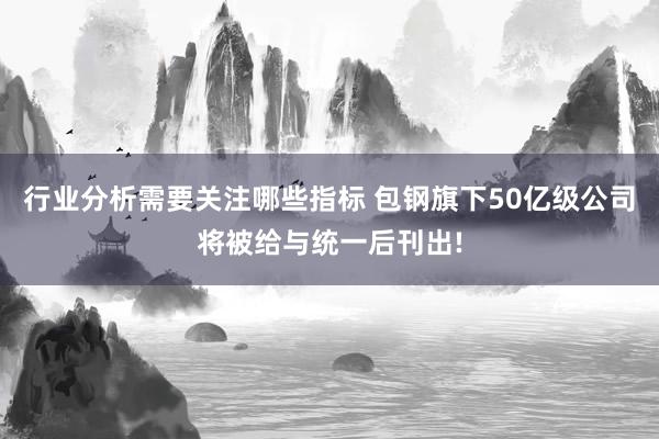 行业分析需要关注哪些指标 包钢旗下50亿级公司将被给与统一后刊出!