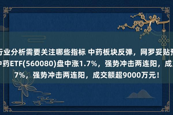 行业分析需要关注哪些指标 中药板块反弹，网罗妥贴预期！范畴最大的中药ETF(560080)盘中涨1.7%，强势冲击两连阳，成交额超9000万元！