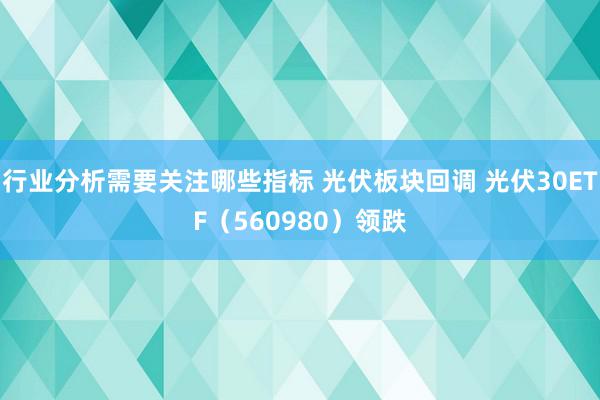 行业分析需要关注哪些指标 光伏板块回调 光伏30ETF（560980）领跌