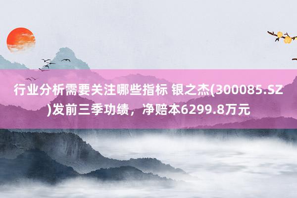 行业分析需要关注哪些指标 银之杰(300085.SZ)发前三季功绩，净赔本6299.8万元