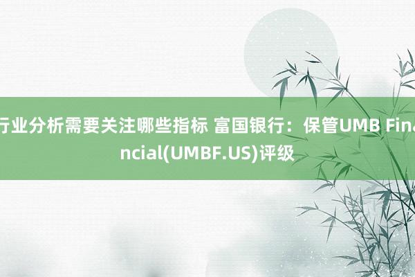 行业分析需要关注哪些指标 富国银行：保管UMB Financial(UMBF.US)评级