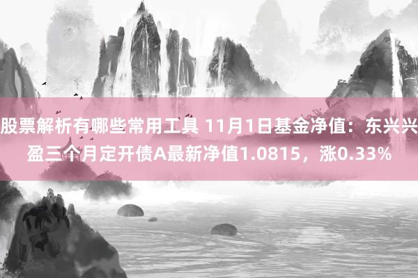 股票解析有哪些常用工具 11月1日基金净值：东兴兴盈三个月定开债A最新净值1.0815，涨0.33%