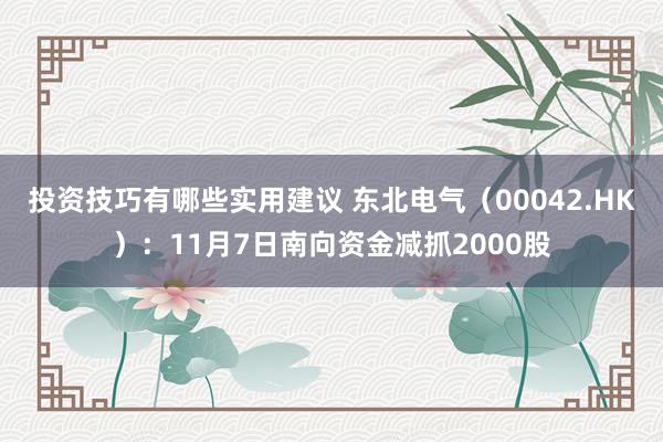 投资技巧有哪些实用建议 东北电气（00042.HK）：11月7日南向资金减抓2000股