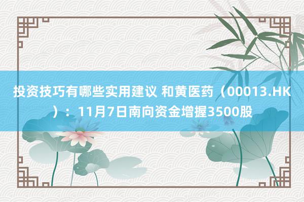 投资技巧有哪些实用建议 和黄医药（00013.HK）：11月7日南向资金增握3500股