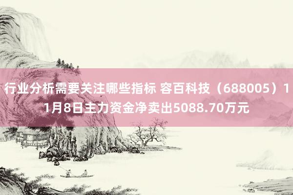 行业分析需要关注哪些指标 容百科技（688005）11月8日主力资金净卖出5088.70万元