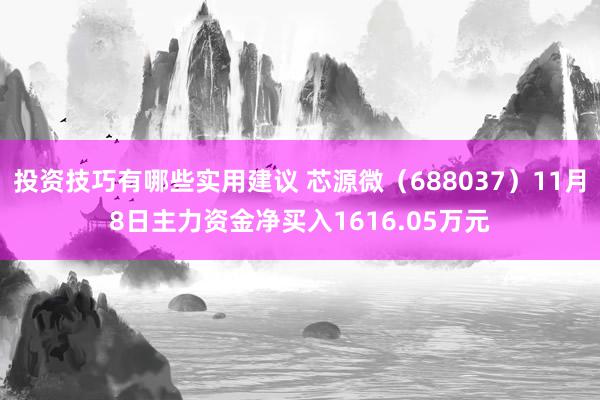 投资技巧有哪些实用建议 芯源微（688037）11月8日主力资金净买入1616.05万元