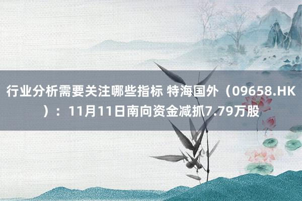 行业分析需要关注哪些指标 特海国外（09658.HK）：11月11日南向资金减抓7.79万股