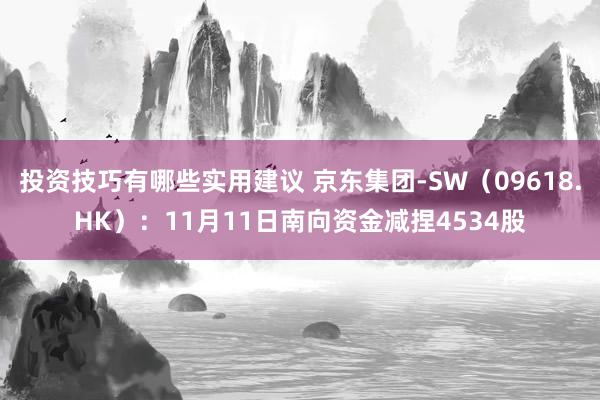 投资技巧有哪些实用建议 京东集团-SW（09618.HK）：11月11日南向资金减捏4534股