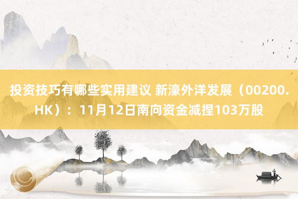 投资技巧有哪些实用建议 新濠外洋发展（00200.HK）：11月12日南向资金减捏103万股