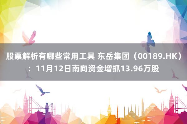 股票解析有哪些常用工具 东岳集团（00189.HK）：11月12日南向资金增抓13.96万股