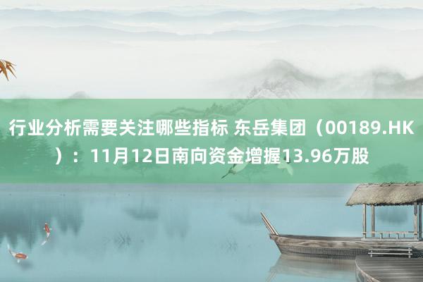 行业分析需要关注哪些指标 东岳集团（00189.HK）：11月12日南向资金增握13.96万股