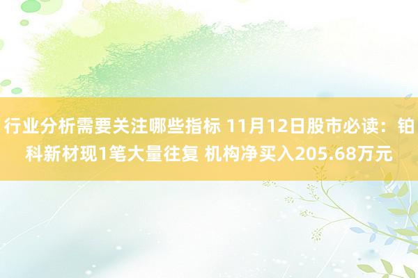 行业分析需要关注哪些指标 11月12日股市必读：铂科新材现1笔大量往复 机构净买入205.68万元