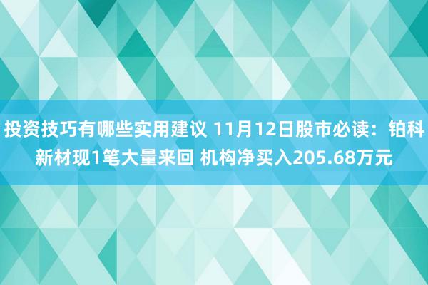 投资技巧有哪些实用建议 11月12日股市必读：铂科新材现1笔大量来回 机构净买入205.68万元