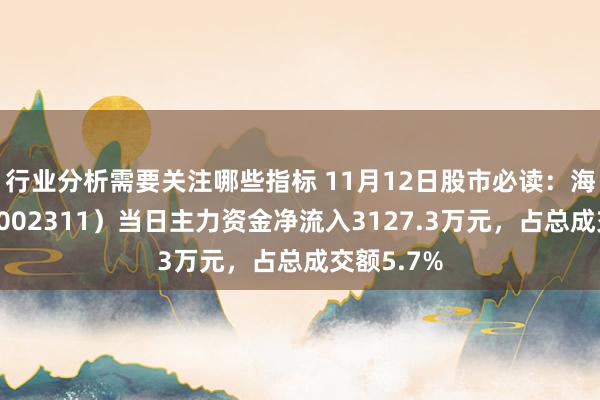 行业分析需要关注哪些指标 11月12日股市必读：海大集团（002311）当日主力资金净流入3127.3万元，占总成交额5.7%