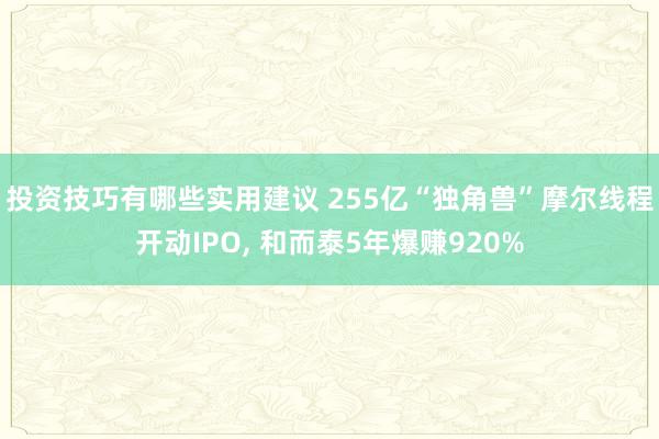 投资技巧有哪些实用建议 255亿“独角兽”摩尔线程开动IPO, 和而泰5年爆赚920%