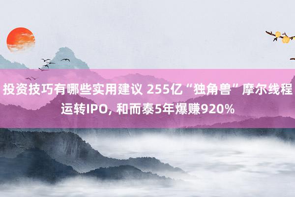 投资技巧有哪些实用建议 255亿“独角兽”摩尔线程运转IPO, 和而泰5年爆赚920%