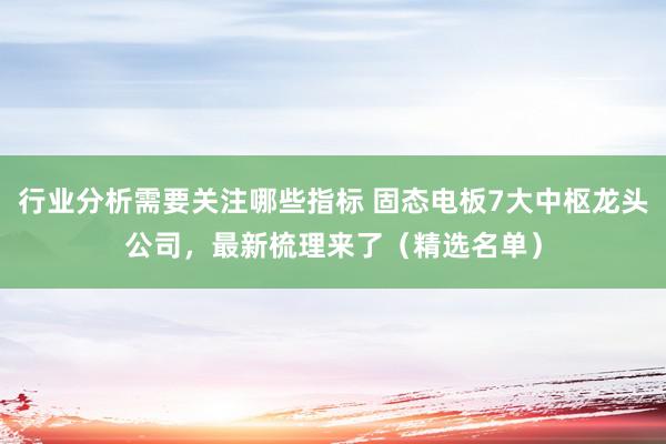 行业分析需要关注哪些指标 固态电板7大中枢龙头公司，最新梳理来了（精选名单）