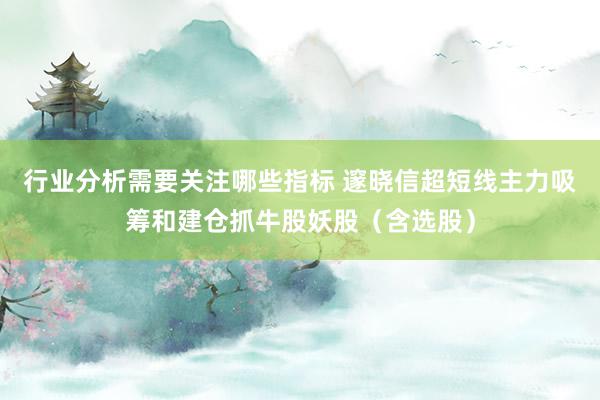 行业分析需要关注哪些指标 邃晓信超短线主力吸筹和建仓抓牛股妖股（含选股）