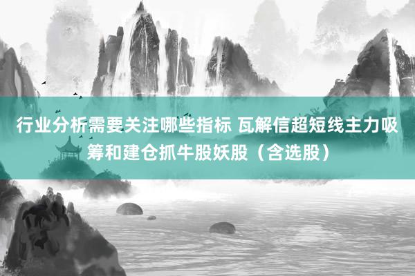 行业分析需要关注哪些指标 瓦解信超短线主力吸筹和建仓抓牛股妖股（含选股）