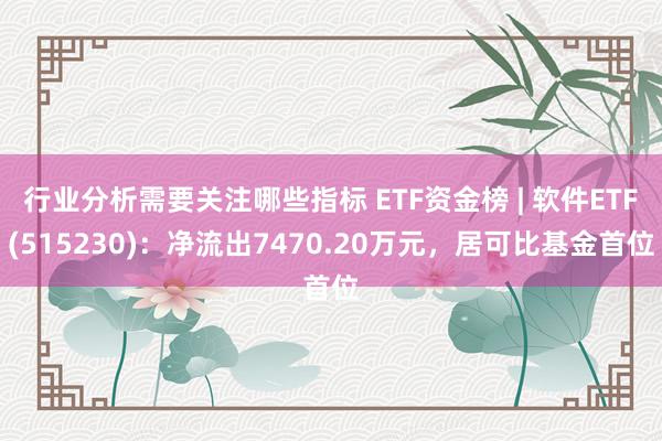 行业分析需要关注哪些指标 ETF资金榜 | 软件ETF(515230)：净流出7470.20万元，居可比基金首位