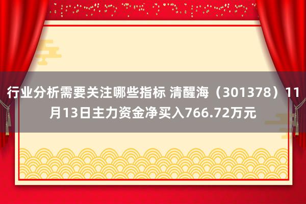 行业分析需要关注哪些指标 清醒海（301378）11月13日主力资金净买入766.72万元