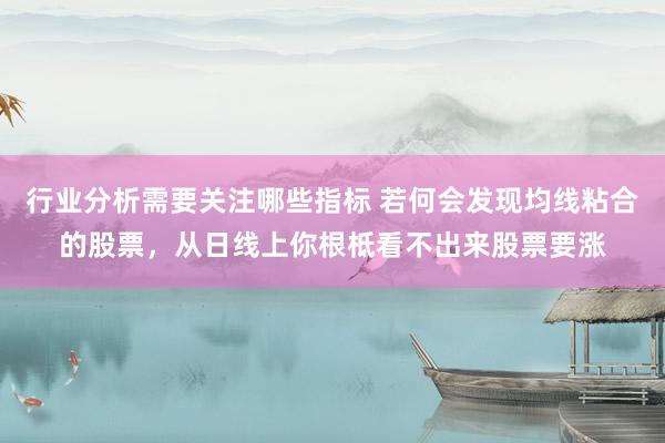 行业分析需要关注哪些指标 若何会发现均线粘合的股票，从日线上你根柢看不出来股票要涨