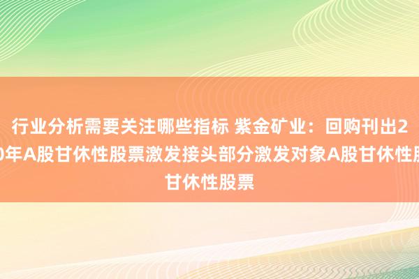 行业分析需要关注哪些指标 紫金矿业：回购刊出2020年A股甘休性股票激发接头部分激发对象A股甘休性股票