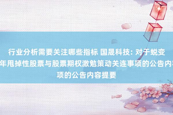 行业分析需要关注哪些指标 国晟科技: 对于蜕变2024 年甩掉性股票与股票期权激勉策动关连事项的公告内容提要