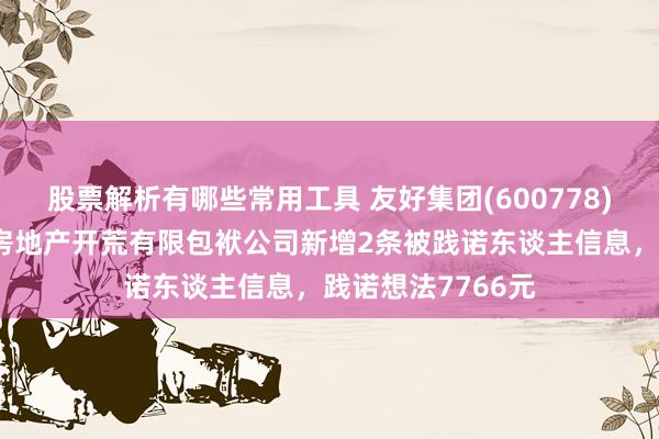 股票解析有哪些常用工具 友好集团(600778)参股的新疆汇友房地产开荒有限包袱公司新增2条被践诺东谈主信息，践诺想法7766元