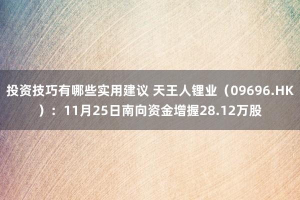 投资技巧有哪些实用建议 天王人锂业（09696.HK）：11月25日南向资金增握28.12万股