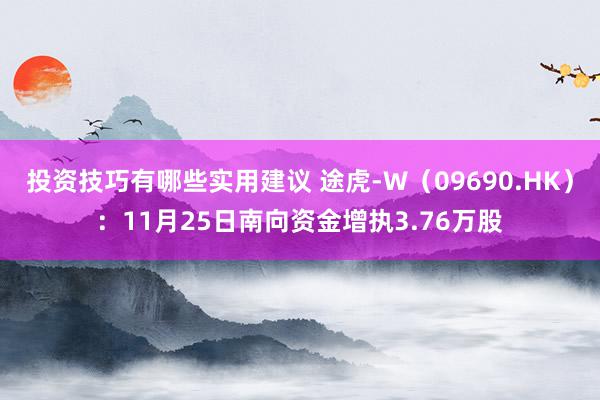 投资技巧有哪些实用建议 途虎-W（09690.HK）：11月25日南向资金增执3.76万股