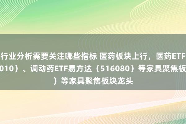 行业分析需要关注哪些指标 医药板块上行，医药ETF（512010）、调动药ETF易方达（516080）等家具聚焦板块龙头