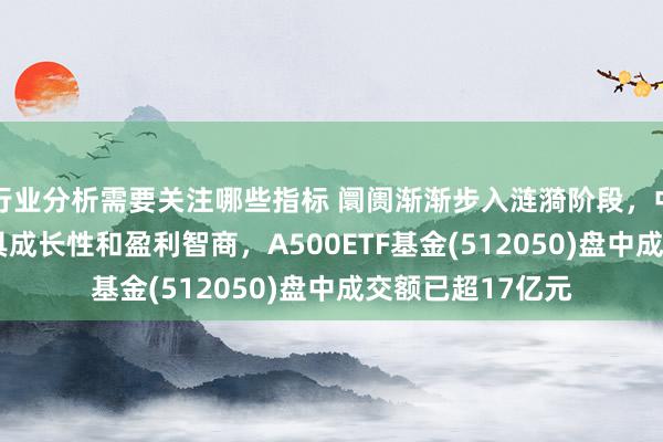 行业分析需要关注哪些指标 阛阓渐渐步入涟漪阶段，中证A500指数兼具成长性和盈利智商，A500ETF基金(512050)盘中成交额已超17亿元