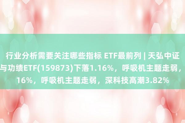 行业分析需要关注哪些指标 ETF最前列 | 天弘中证全指医疗保健开导与功绩ETF(159873)下落1.16%，呼吸机主题走弱，深科技高潮3.82%