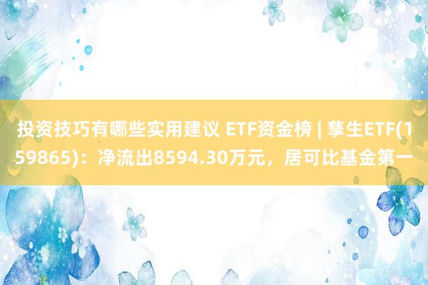 投资技巧有哪些实用建议 ETF资金榜 | 孳生ETF(159865)：净流出8594.30万元，居可比基金第一