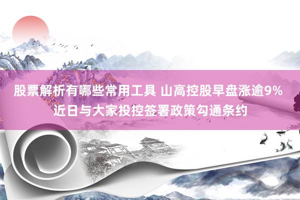 股票解析有哪些常用工具 山高控股早盘涨逾9% 近日与大家投控签署政策勾通条约