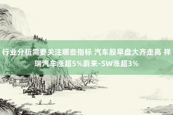 行业分析需要关注哪些指标 汽车股早盘大齐走高 祥瑞汽车涨超5%蔚来-SW涨超3%