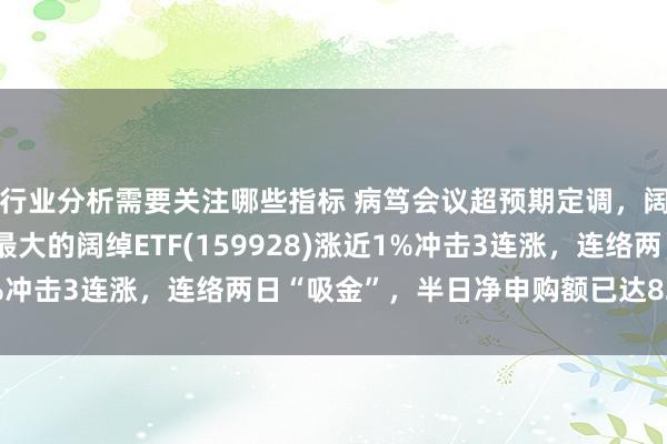 行业分析需要关注哪些指标 病笃会议超预期定调，阔绰提振成亮点！领域最大的阔绰ETF(159928)涨近1%冲击3连涨，连络两日“吸金”，半日净申购额已达8200万份