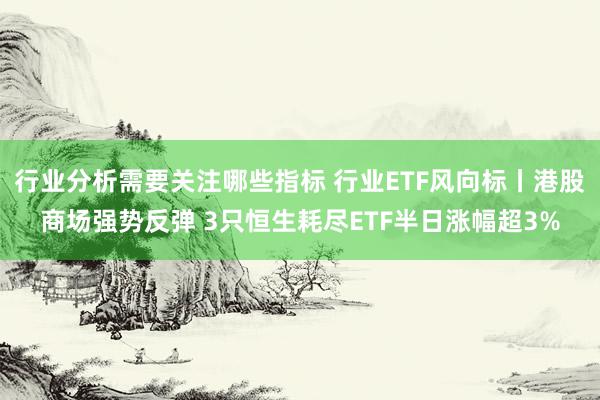 行业分析需要关注哪些指标 行业ETF风向标丨港股商场强势反弹 3只恒生耗尽ETF半日涨幅超3%