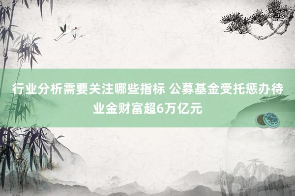 行业分析需要关注哪些指标 公募基金受托惩办待业金财富超6万亿元