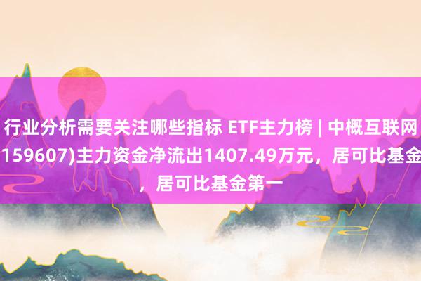 行业分析需要关注哪些指标 ETF主力榜 | 中概互联网ETF(159607)主力资金净流出1407.49万元，居可比基金第一