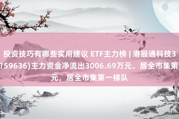 投资技巧有哪些实用建议 ETF主力榜 | 港股通科技30ETF(159636)主力资金净流出3006.69万元，居全市集第一梯队