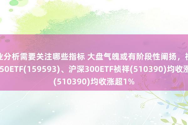 行业分析需要关注哪些指标 大盘气魄或有阶段性阐扬，祯祥中证A50ETF(1595