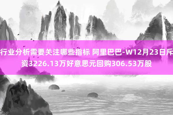 行业分析需要关注哪些指标 阿里巴巴-W12月23日斥资3226.13万好意思元回