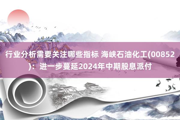 行业分析需要关注哪些指标 海峡石油化工(00852)：进一步蔓延2024年中期股