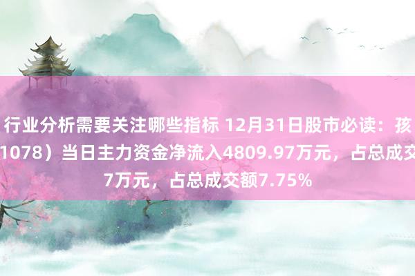 行业分析需要关注哪些指标 12月31日股市必读：孩子王（301078）当日主力资