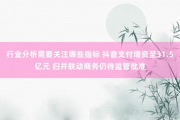 行业分析需要关注哪些指标 抖音支付增资至31.5亿元 归并联动商务仍待监管批准